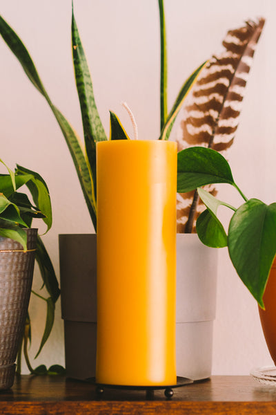 3" by 9" beeswax pillar candle on a black candle holder, sitting on a shelf and in front of various potted plants